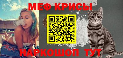 стаф Кунгур