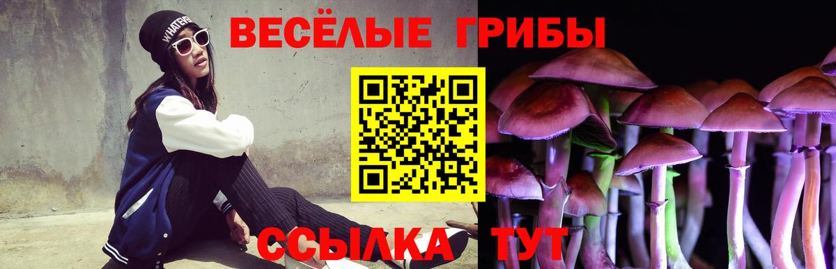 Галлюциногенные грибы мухоморы Донецк